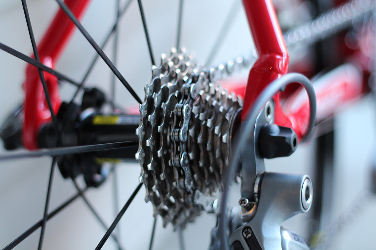 Bike Chain on wheel